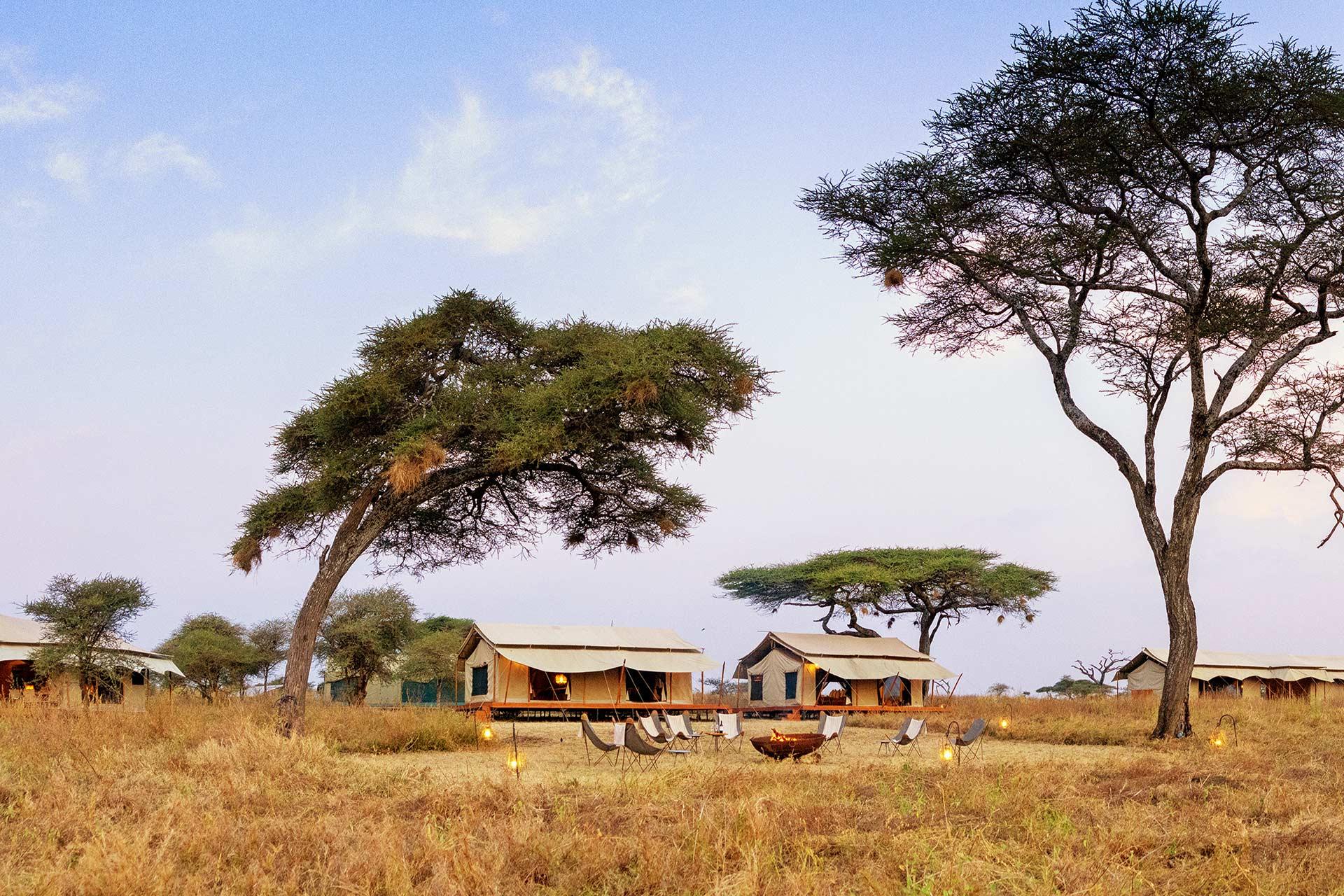 The Siringit Serengeti Camp by Mantis is located under a canopy of Tortillas Acacia trees along the wildlife migration trails. 