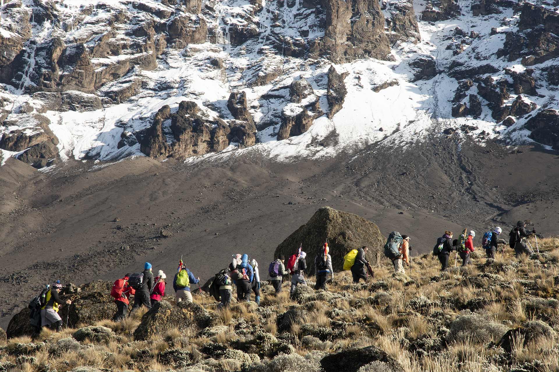 There is a huge amount of diversity on the mountain. There is a huge amount of diversity on the mountain.