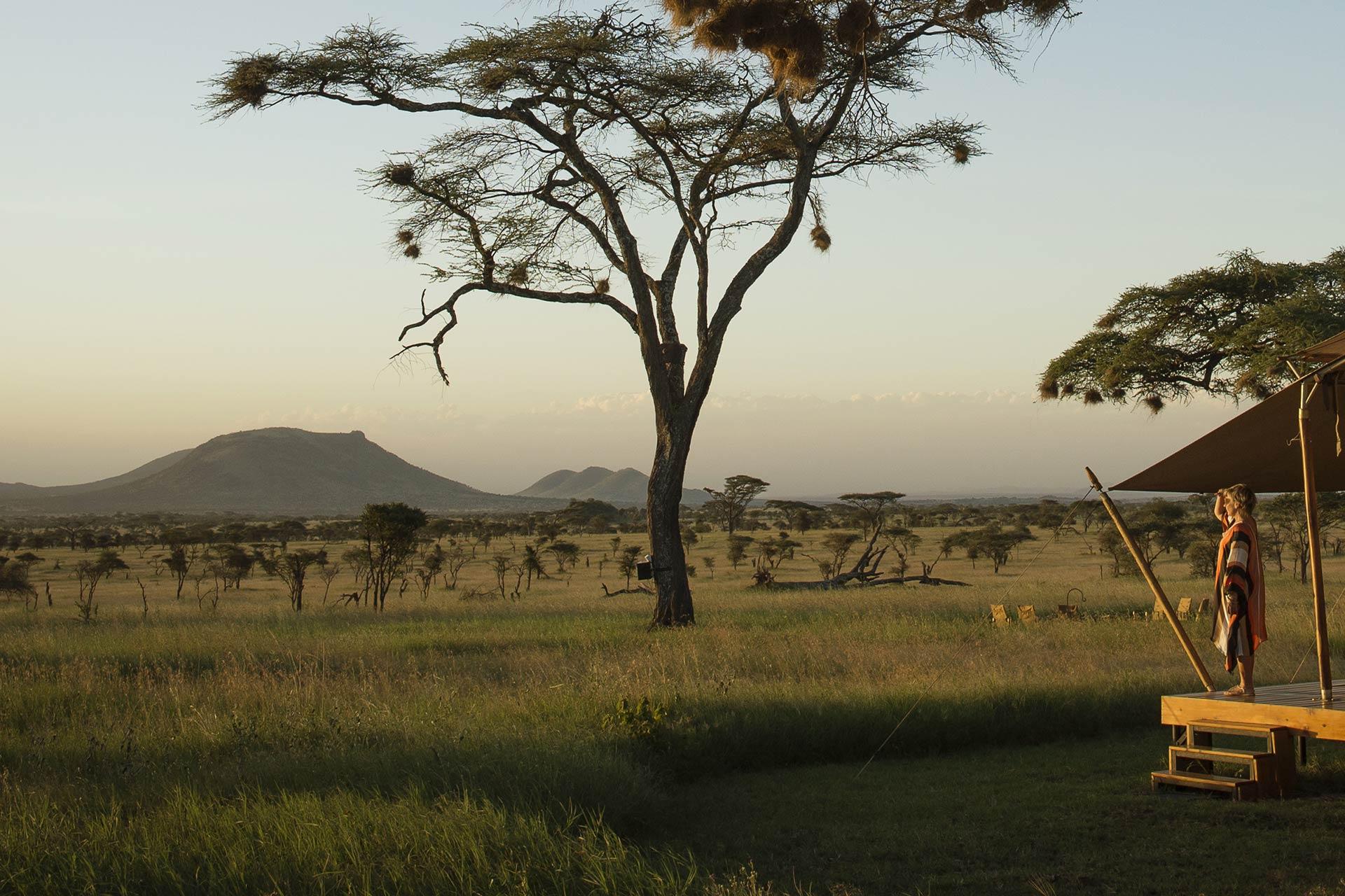 Siringit Serengeti Camp Siringit Serengeti Camp