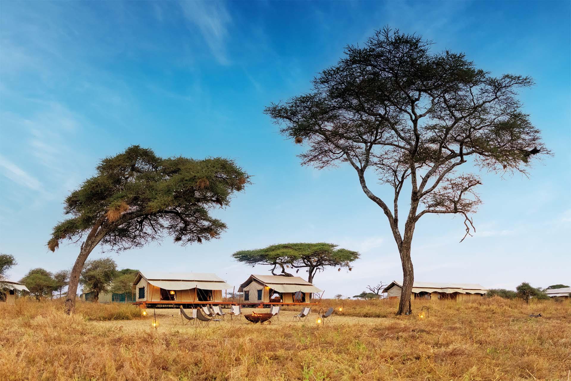 View from luxury tent in the central Serengeti