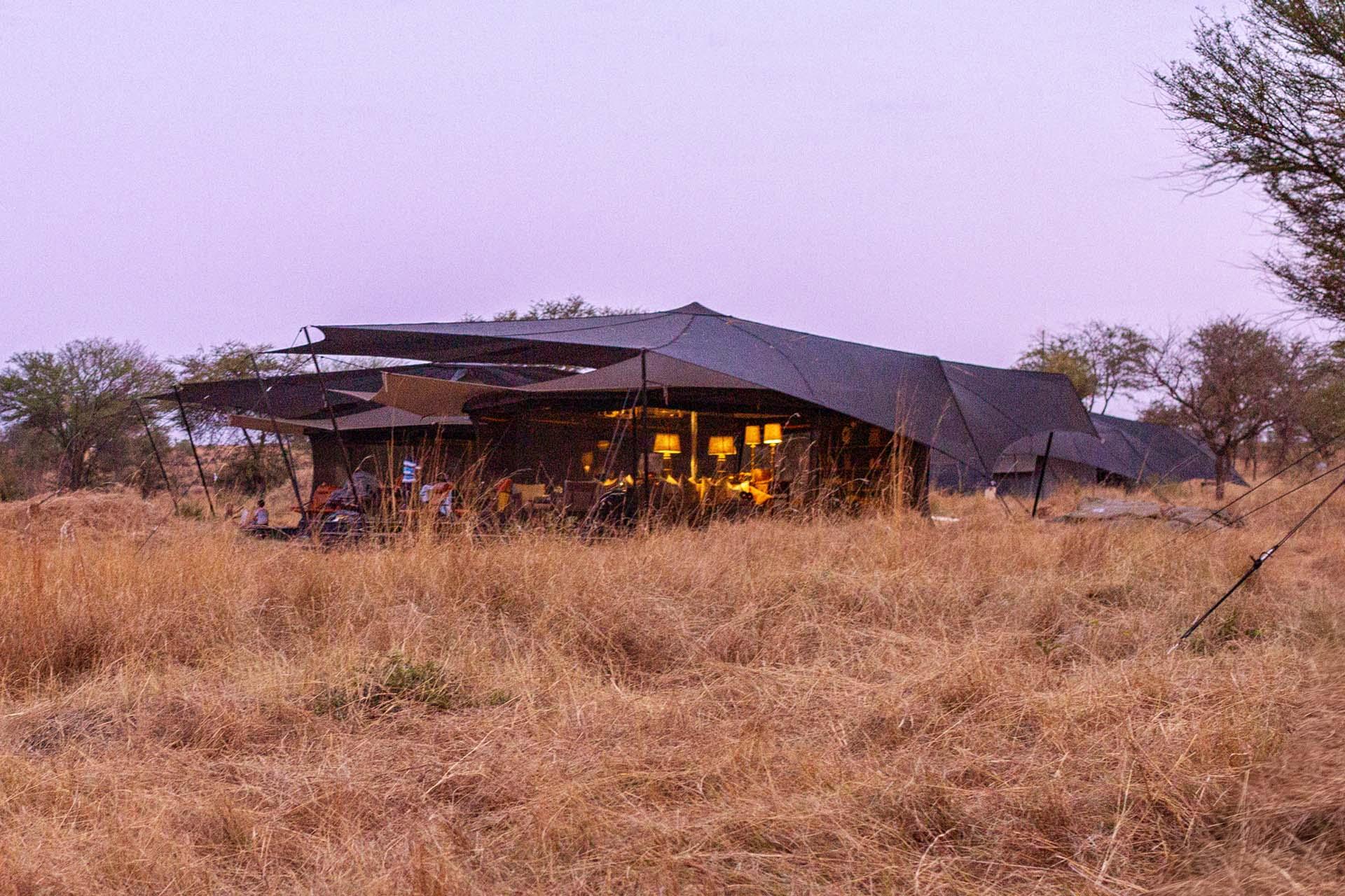 Safari in the south with Siringit is an intimate experience bringing you closer to nature