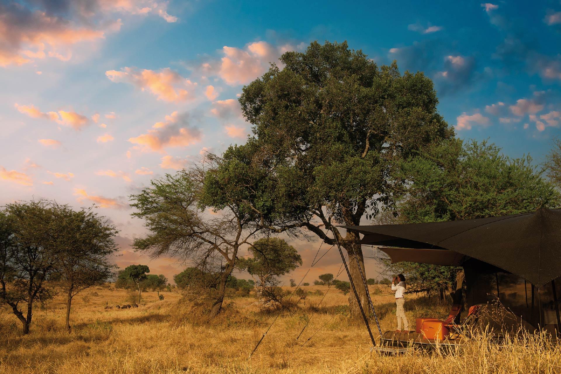 Migrate with the Herds The Bedouin-style tents are positioned on a raised platforms to give you a 360-degree view of the Serengeti plains...