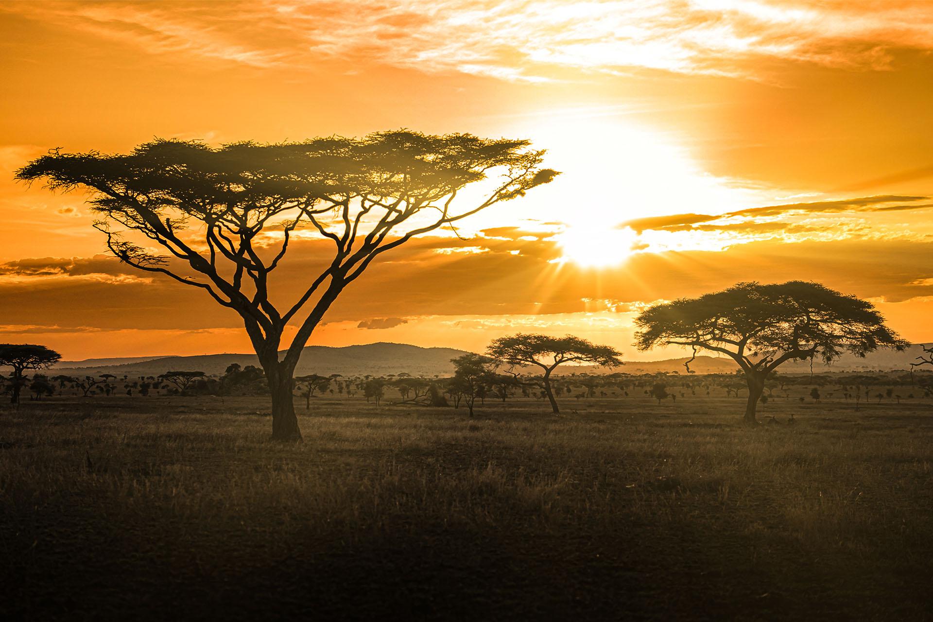 Sunset at Siringit Serengeti Camp from your private verandah Wildlife migrates daily through the camp and it is possible to game view and bird watching from the verandah of your tent.